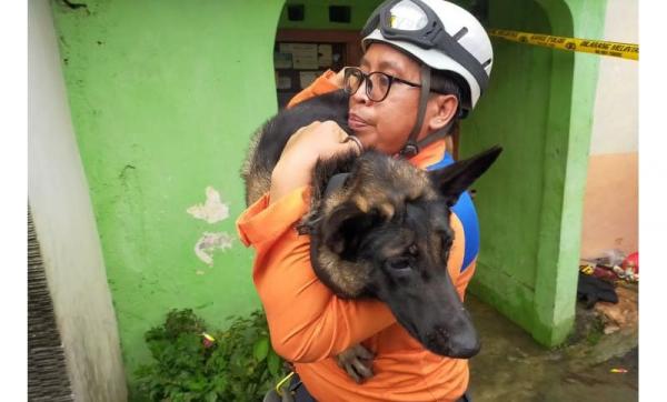Anjing Pelacak K9 Diterjunkan untuk Bantu Cari Korban Longsor di Bogor