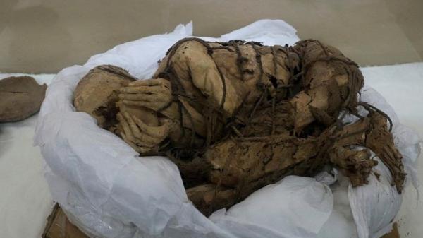 Masih Utuh, Mumi ini Ditemukan Arkeolog Diperkirakan Sudah Berusia 8 Abad