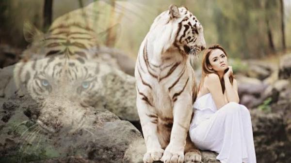 Ciri Fisik Orang Punya Khodam Harimau Putih yang Bisa Dilihat dari Wajah dan Tindakannya