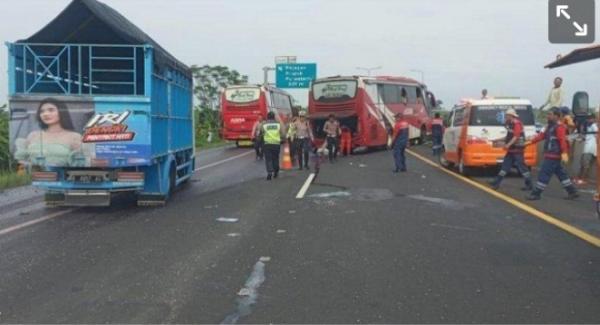 Kecelakaan Maut! Bus Tabrak Truk di Tol Brebes, Tiga Orang Tewas