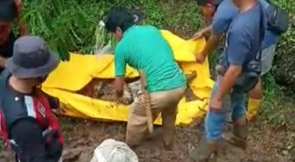 Mayat Terbungkus Karung Ditemukan di Rawa-Rawa, Motif Pembunuhan Cuma Masalah Buah Durian