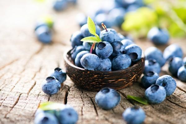 10 Manfaat Buah Blueberry Bagi Kesehatan dan Kecantikan, Luar Biasa!