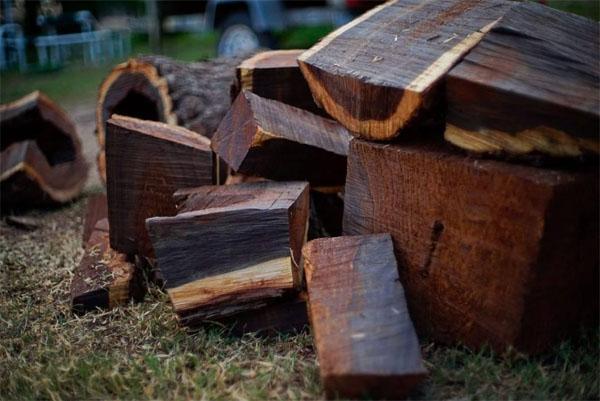 Kayu Eboni dari Makassar Termahal No 7 Di Dunia, Inilah 10 Kayu Termahal di Dunia