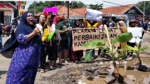 Emak Emak di Indramayu Blokade Jalan dengan Pohon Pisang, Imbas Jalan Rusak Telan Korban