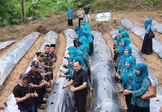 GMPT Wujudkan Ketahanan Pangan di Lebak, Camat Cileles : Sesuai Arahan dari Wabup