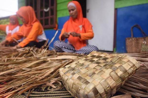 Daur Ulang Daun Nanas Disulap Menjadi Bahan Tekstil yang Ramah Lingkungan