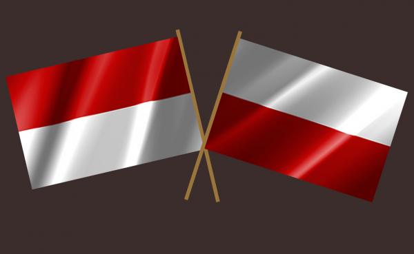 Jadi Gerbang Ekspor Indonesia ke Eropa Timur dan Tengah, Ini Potensi yang Ada di Polandia