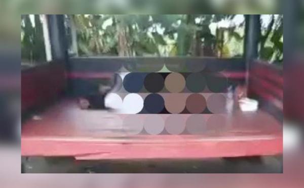 Viral Video Mesum Pasangan Kekasih di Gasebo Pantai Bikin Heboh