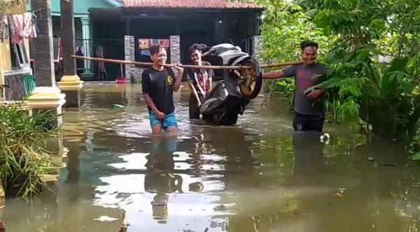 Banjir Luapan Citanduy Masih Merendam Ratusan Hektar Sawah dan Pemukiman Warga Di Pangandaran