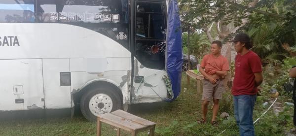 Kecelakaan Maut di Pasangkayu, Sopir Pikap Tewas Setelah Bertabrakan dengan Bus