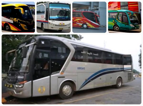 Tampilan Sederet PO Bus yang Layani Angkutan Antar Negara, Jarak Tempuh 1.172 Km Selama 28 Jam