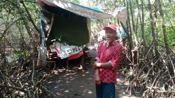 Kasihan ! 40 Tahun Kakek Sugiarto Hidup di Tengah Hutan Mangrove Probolinggo Tanpa Bantuan