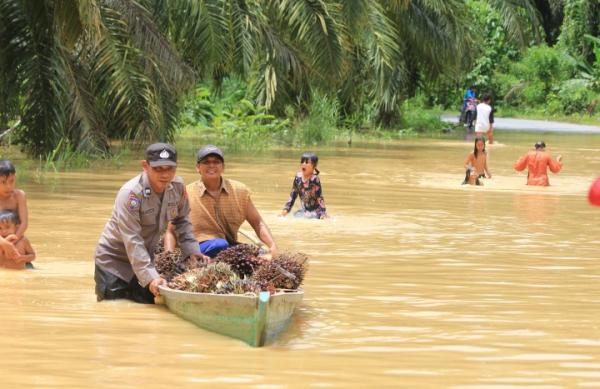 Terendam Banjir, 48 Hektare Tanaman Jagung Terancam Gagal Panen di Subulussalam