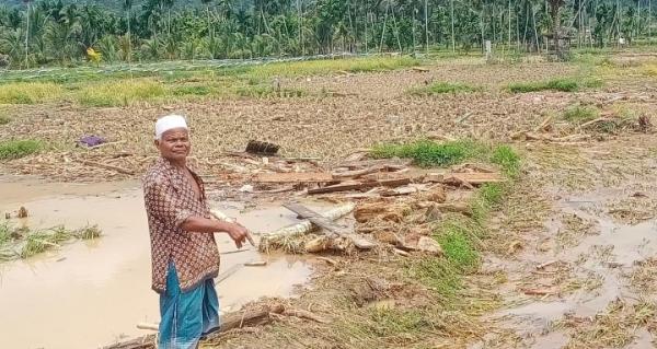 Pasca Banjir Bandang, Ratusan Hektar Lahan Warga Tertimbun Lumpur di Aceh Tenggara