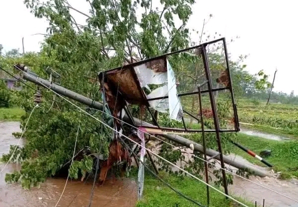 Angin Puting Beliung Mengamuk di Kabupaten Pekalongan, Perkantoran dan Rumah Warga Rusak Parah