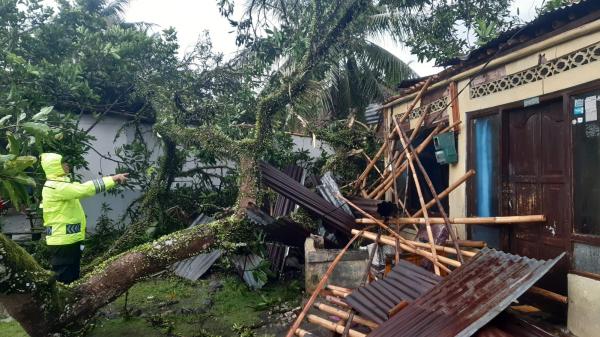 Belasan Rumah Rusak dan Pohon Tumbang Akibat Hujan Angin di Purbalingga