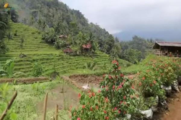 Viral! Desa Terindah di Indonesia, Ternyata ada di Cianjur