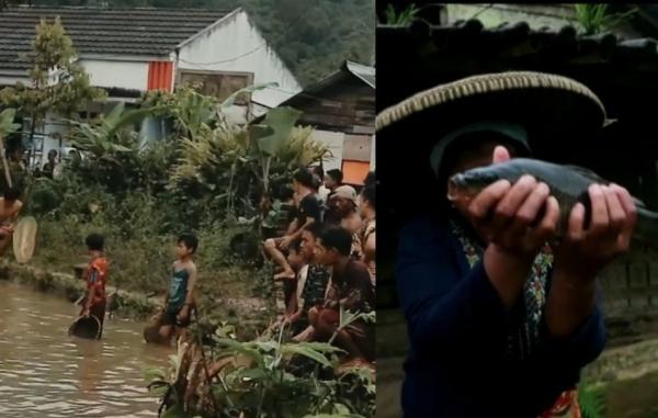 Tradisi Usai Menang Pilkades, Warga Citorek Langsung  Serbu Kolam Tangkap Ikan hingga Warung