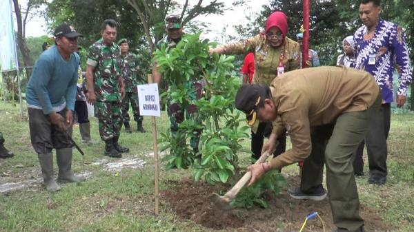 Perhutani KPH Gundih Gandeng Investor, Targetkan Hutan Agrowisata