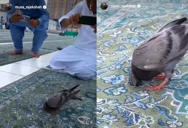 Ijeck Upload Burung Merpati Sujud Saat Umroh, Netizen: Subhannallah 