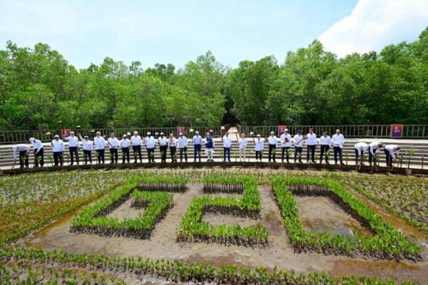 Memiliki Kawas Terluas di Dunia Presiden Jokowi dan Pemimpin Negara G20 Tanam Pohon Mangrove di Bali