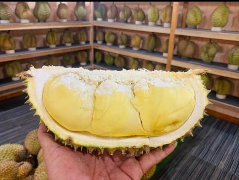 Makan Durian Ternyata Bisa Merawat Kulit Loh, Begini Penjelasannya !