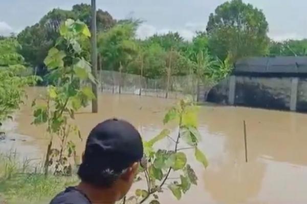 Warga Resah, Tembok Batas Pengaman Lokasi Ternak Buaya di Batu Bara Hancur Akibat Banjir