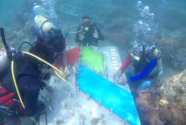 Bangsring Underwater Semakin Indah, Puluhan Ribu Terumbu Karang Tertanam di Dasar Laut