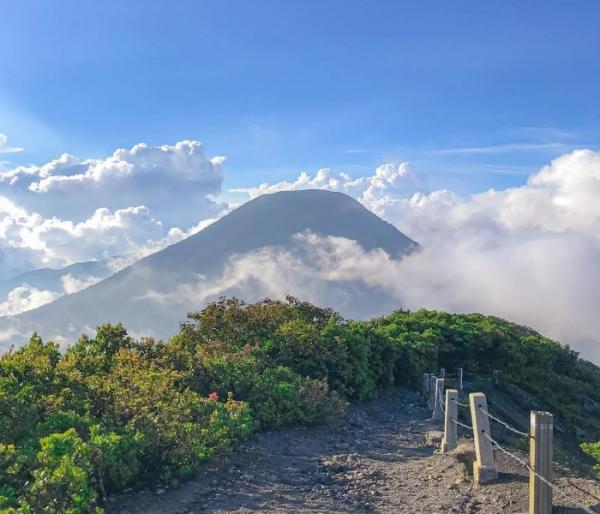Inilah 7 Spot Menakjubkan di Gunung Gede Pangrango, Yakin Nggak Tertarik?
