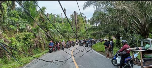 Tiang Listrik Tumbang di Aceh Singkil, Sehingga Kemacetan Arus Lalulintas