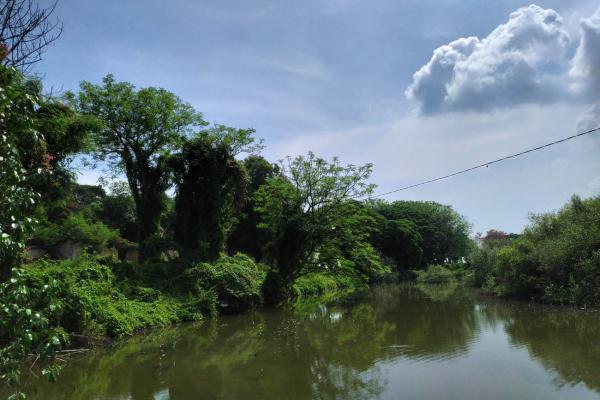 a sample image