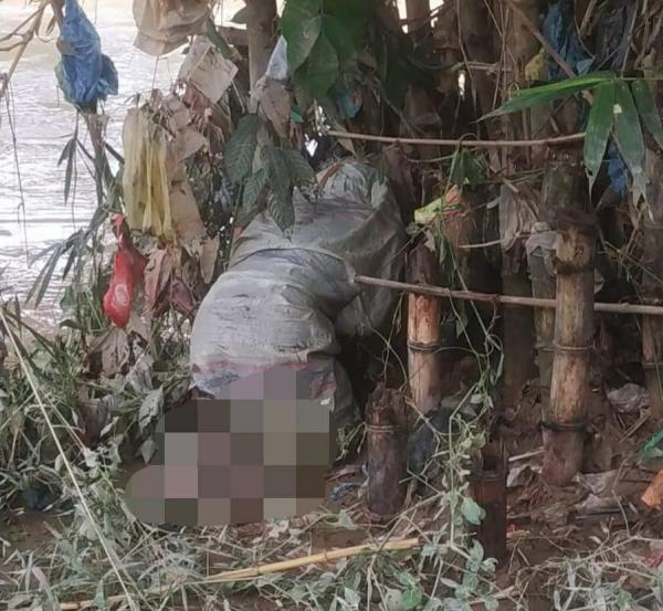 Mayat Perempuan Dalam Karung Tanpa Identitas Sangkut di Pohon Bambu Hebohkan Warga Amplas
