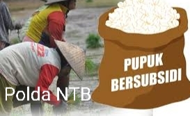 Penyelewengan Pupuk Bersubsidi, Polda NTB  Tetapkan Distributor Pupuk di Bima Sebagai Tersangka