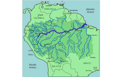 Ternyata Ini Alasan Tidak Ada Satu pun Jembatan di Atas Sungai Amazon
