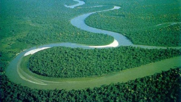 Kenapa Tak Ada Satu pun Jembatan di Atas Sungai Amazon? Ini Alasannya