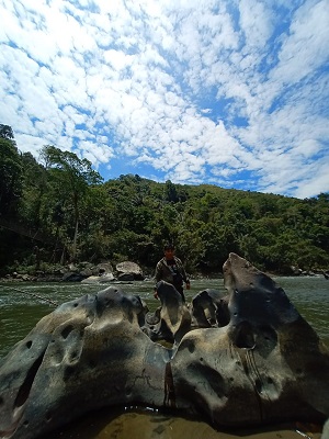 Bakal Jadi Buruan Kolektor, Kalumpang Miliki Batu Alami Indah Suiseki Harganya Fantastis