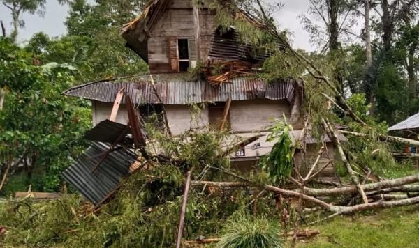 Satu Unit Rumah Warga di Lembang Saluallo Sangalla Utara Rusak Tertimpa Pohon Tumbang