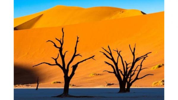 Deretan Lokasi di Bumi yang Mirip Seperti Planet Mars, Nomor 5 Deadvlei Namibia
