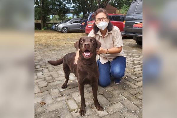 Perkenalkan Coco Anjing Spesialis Pencari Korban Bencana, Kini Bertugas di Cianjur