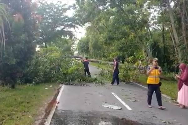 Dua Pemotor Tewas Tabrak Pohon Tumbang, Kondisi Gelap Minim Penerangan