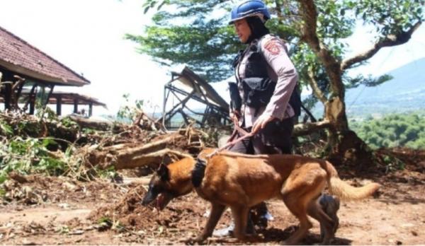 Mengenal Polwan Pawang Anjing Pelacak Polda Jabar, Tangguh di Lokasi Gempa Cianjur