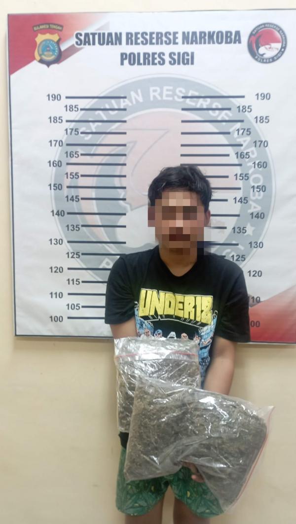 Dua Pemuda Sigi Ditangkap Bawa 3 Kilogram Ganja