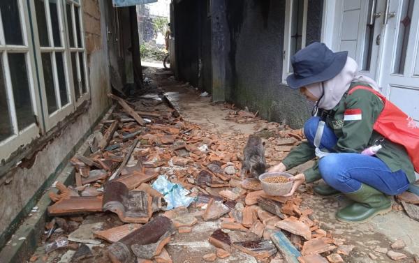 Gabungan Animal Rescuer Turun ke Lokasi Gempa Cianjur. Ada Temuan Mengejutkan