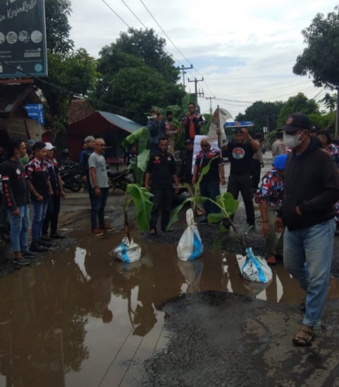 Protes Jalan Rusak, Masyarakat di Cirebon Timur Tanam Pisang