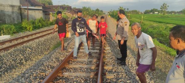 Kakek Pencari Rumput di Sragen Tewas Tertabrak Kereta Api