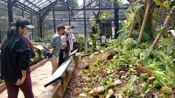 Kebun Raya Bogor Kembali Membuka Wahana Edukasi “Taman Nepenthes” Tumbuhan Unik Pemakan Serangga