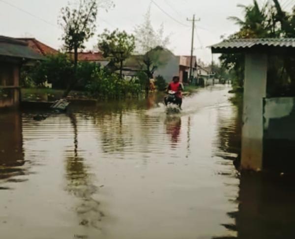 Banjir Rob Pemalang, 62 Warga Ulujami Mengungsi