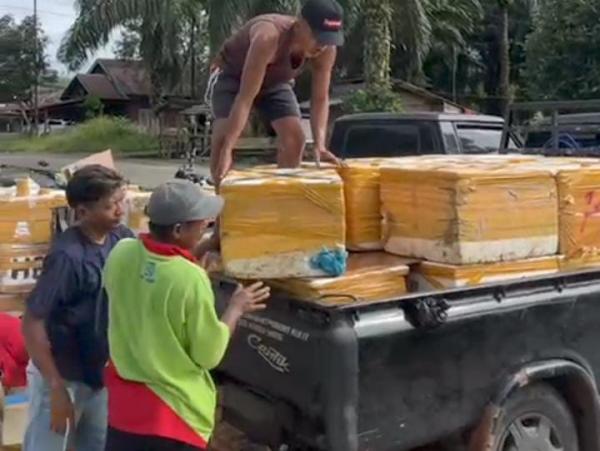 Penjualan Ikan Bengkulu Utara Tembus ke Sejumlah Provinsi Tetangga