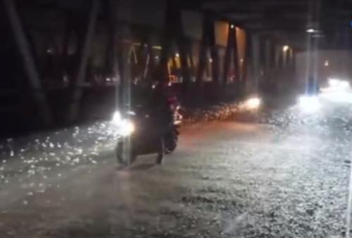 Aneh Tapi Nyata !  Jutaan Kupu-Kupu Serbu Jembatan di Mojokerto,  Banyak Pengendara Terjatuh