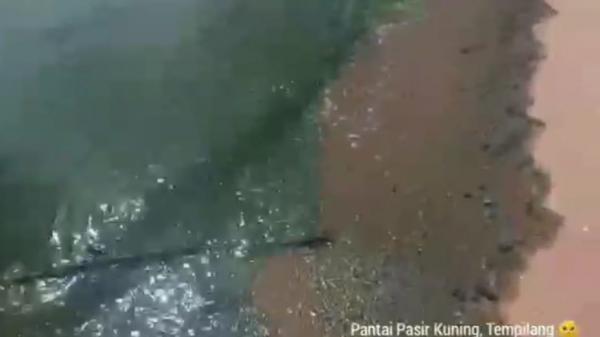 Air Laut di Pantai Pasir Kuning Bangka Barat Berubah Warna, Diduga Tercemar